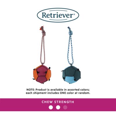 Image showing  8 in. Tab Tug Ball Dog Toy, Assorted Colors