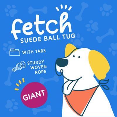 Image showing  8 in. Tab Tug Ball Dog Toy, Assorted Colors