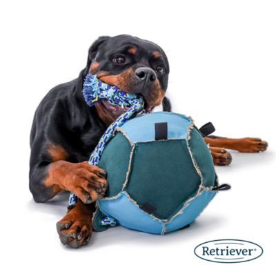 Image showing  8 in. Tab Tug Ball Dog Toy, Assorted Colors