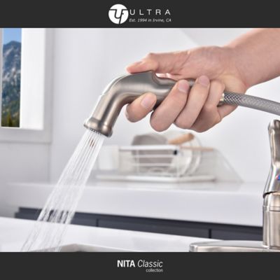 Image showing  Nita Classic Single-Handle Standard Kitchen Faucet with Side Sprayer in Rust and Spot Resist in Brushed Nickel