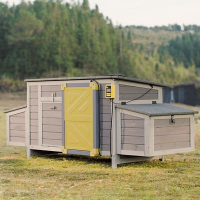 Aivituvin Wooden Chicken Coop with Auto Chicken Door for 2-4 Chickens, AIR69+AIR101-G