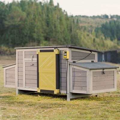 Aivituvin Wooden Chicken Coop with Automatic Chicken Door, 2-4 Chicken Capacity