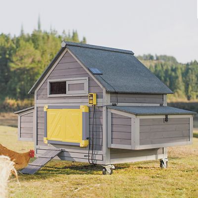 Aivituvin Large Chicken Coop with Auto Chicken Door (Gray Frame) for 2-4 Chickens, 67.3 x 40 x 49.75in