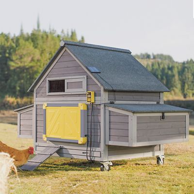 Aivituvin Large Chicken Coop with Auto Chicken Door, 2 to 4 Chicken Capacity