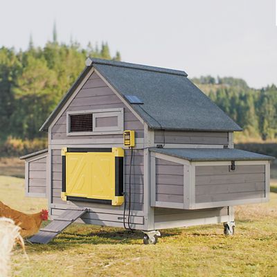 Aivituvin Large Chicken Tractor with Auto Chicken Door(Black Frame) for 2-4 Chickens, AIR67+AIR101-B