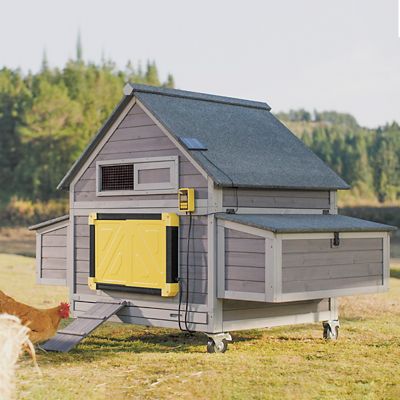 Aivituvin Large Chicken Coop with Auto Chicken Door, 2 to 4 Chicken Capacity