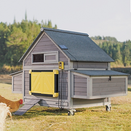 Aivituvin Large Chicken Tractor with Auto Chicken Door(Black Frame) for 2-4 Chickens, AIR67+AIR101-B
