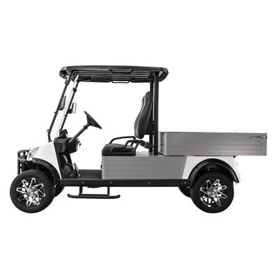 Image showing  2-Seater 48V MVR Cargo Max Utility Electric Golf Cart with Dump Bed, Blue