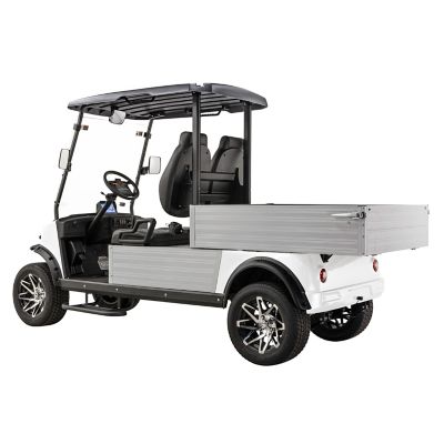 Image showing  2-Seater 48V MVR Cargo Max Utility Electric Golf Cart with Dump Bed, Blue