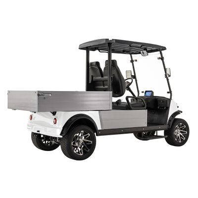 Image showing  2-Seater 48V MVR Cargo Max Utility Electric Golf Cart with Dump Bed, Blue