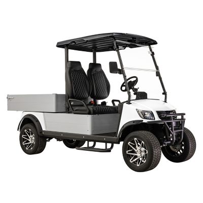 Image showing 6 th Massimo 2-Seater 48V MVR Cargo Max Utility Electric Golf Cart with Dump Bed, Blue