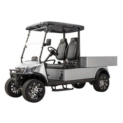Massimo MVR Cargo Max Utility Electric Golf Cart with Dumpbed - Silver