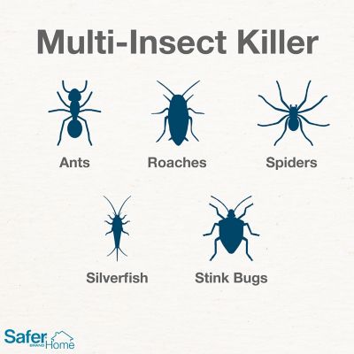 Image showing  Ant, Roach & Spider Killer