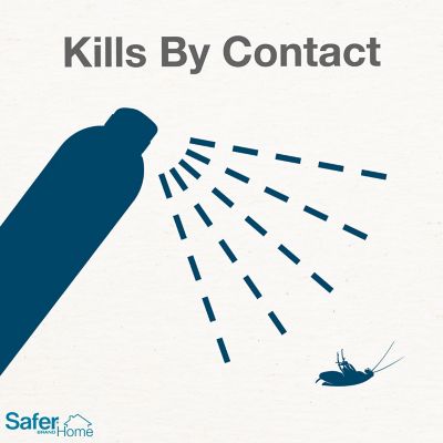 Image showing  Ant, Roach & Spider Killer