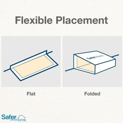 Image showing  Spider and Insect Glue Trap