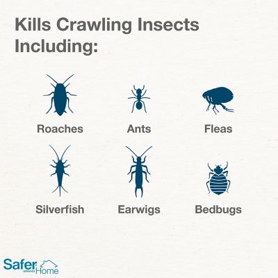 Image showing  DE Ant & Crawling Insect Killer