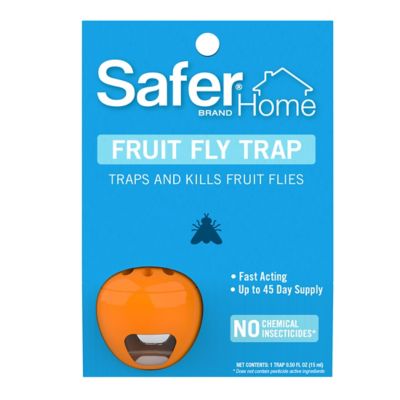 Safer Home Fruit Fly Trap, 1 Pack