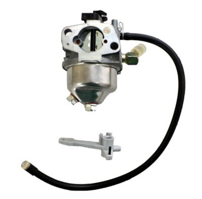 Image showing  Carburetor Kit with Spark Plug, Primer, Primer line, Fuel line for 120-4418, 120-4419, 119-1996, 119-1571