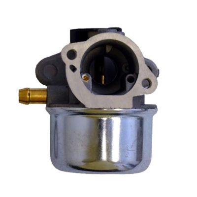 OakTen Carburetor for 799868 498254 497347 Fits Briggs & Stratton 4 to 7 HP Vertical Shaft Engines with Primer Button