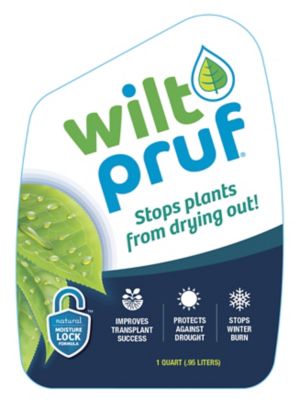 Image showing  32 oz. Ready -to-Use