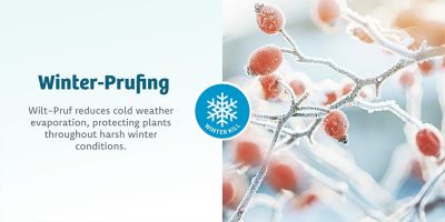 Image showing  32 oz. Concentrate