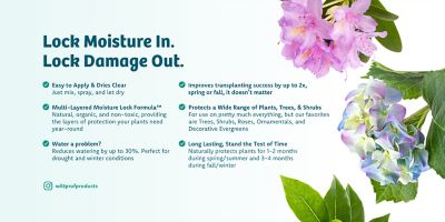 Image showing  32 oz. Concentrate