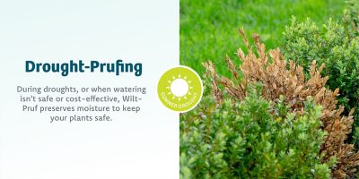 Image showing 5 th Wilt-Pruf 32 oz. Concentrate