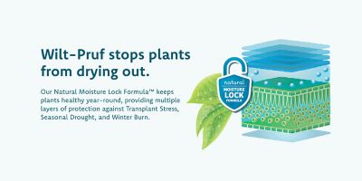 Image showing 6 th Wilt-Pruf 32 oz. Concentrate