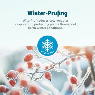 Image showing 8 th Wilt-Pruf 32 oz. Concentrate