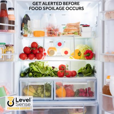 Image showing  Freezer Alarm, Wi-Fi Enabled, Real Time Refrigerator/Freezer Temperature Monitoring, 4 ft.. Sensor