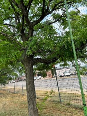 Image showing  4 ft. to 7.5 ft. Adjustable Poles, 10-Pack