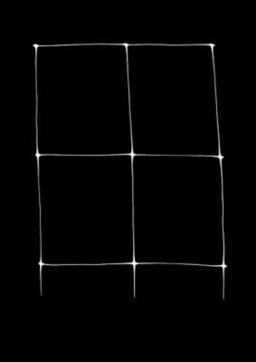 Image showing  Hortonova Plant Trellis Net LM, 67 x 10,000