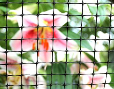 Image showing  Plant & Pond Protect Bird Net Bag, 6 x 50