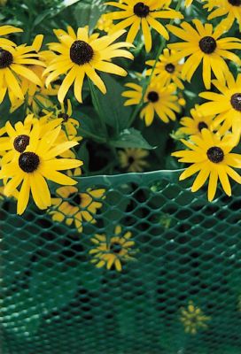 Image showing  3/4 in. x 3/4 in. Mesh 25 ft. x 2 ft. Poultry Fence, Green