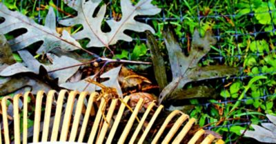 Image showing  2 in. x 2 ft. x 50 ft. Multi-Purpose Garden Fence