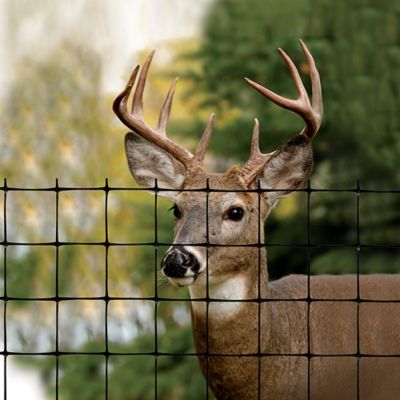 Image showing  330 x 6ft. Deer Fence Barrier, Reinforced Edge, Select