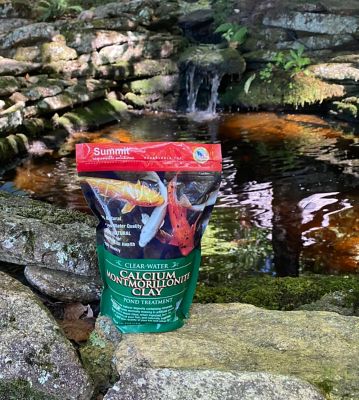 Image showing  Calcium/Montmorillonite Pond Clay