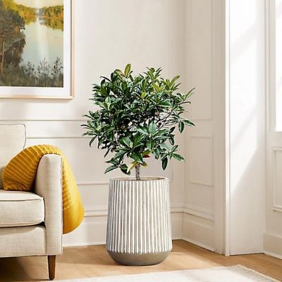 LuxenHome Round Striped MgO Planter