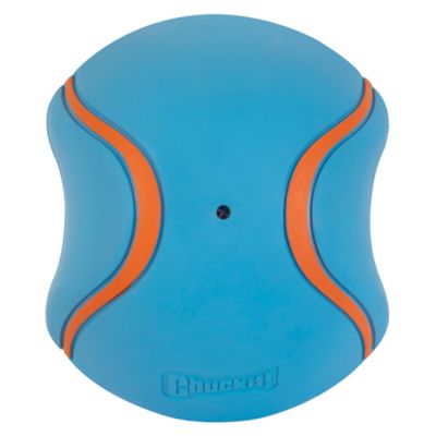 Image showing  Indoor Super Slider Dog Toy