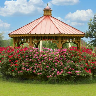 Image showing  1 gal. 2-N-1 Freedom Rose with Pink and Red Flowers