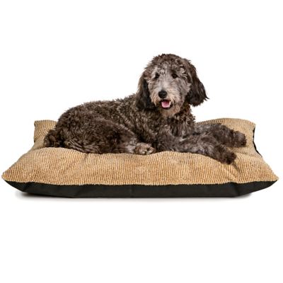 Image showing  Rectangular Pillow Pet Bed, 27 x 36 in., Assorted Colors