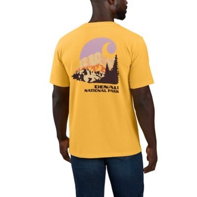 Carhartt Men's Relaxed Heavy Short-Sleeve Denali National Park Graphic T-Shirt