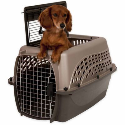 Image showing  2-Door Top-Load Plastic Pet Kennel for Pets Up to 15 lb., 16.5 in.