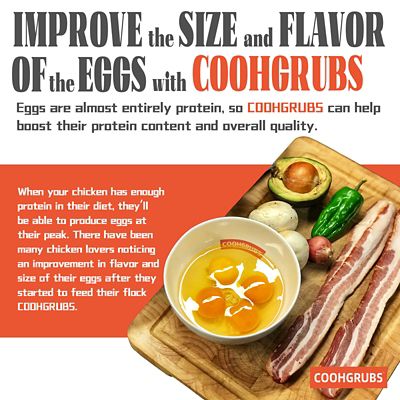 Image showing 5 th COOHGRUBS Premium Grade Dried Black Soldier Fly Larvae Chicken Treats, Tasty and Healthy Snacks for Hens Ducks