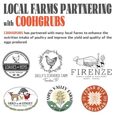 Image showing 6 th COOHGRUBS Premium Grade Dried Black Soldier Fly Larvae Chicken Treats, Tasty and Healthy Snacks for Hens Ducks