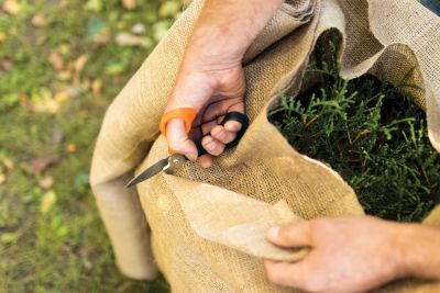 Image showing 6 th Fiskars Multi-Purpose Garden Shears