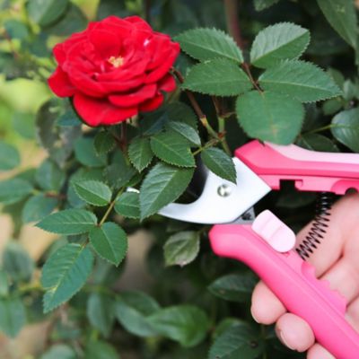 Image showing 5 th Fiskars Designer Floral Pruner