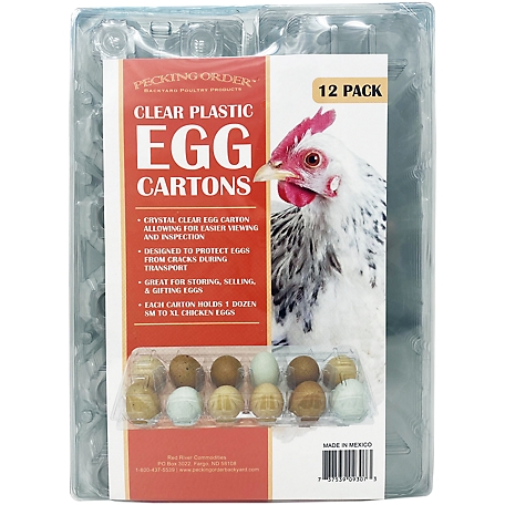 Pecking Order Plastic Egg Cartons, 12 pk.