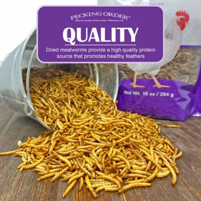 Image showing  Dried Mealworms