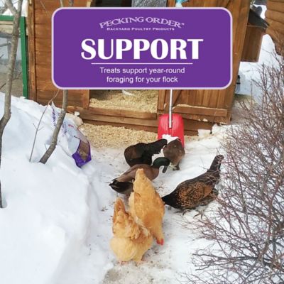 Image showing  Dried Mealworms